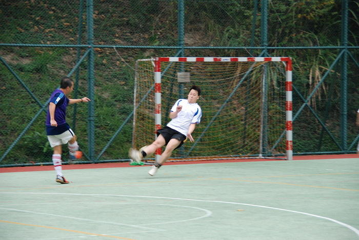 DSC 5919