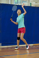 Badminton Competition
