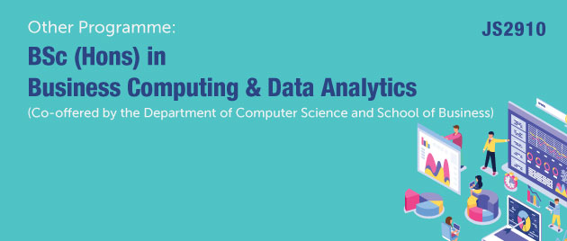 BSc (Hons) in Business Computing and Data Analytics